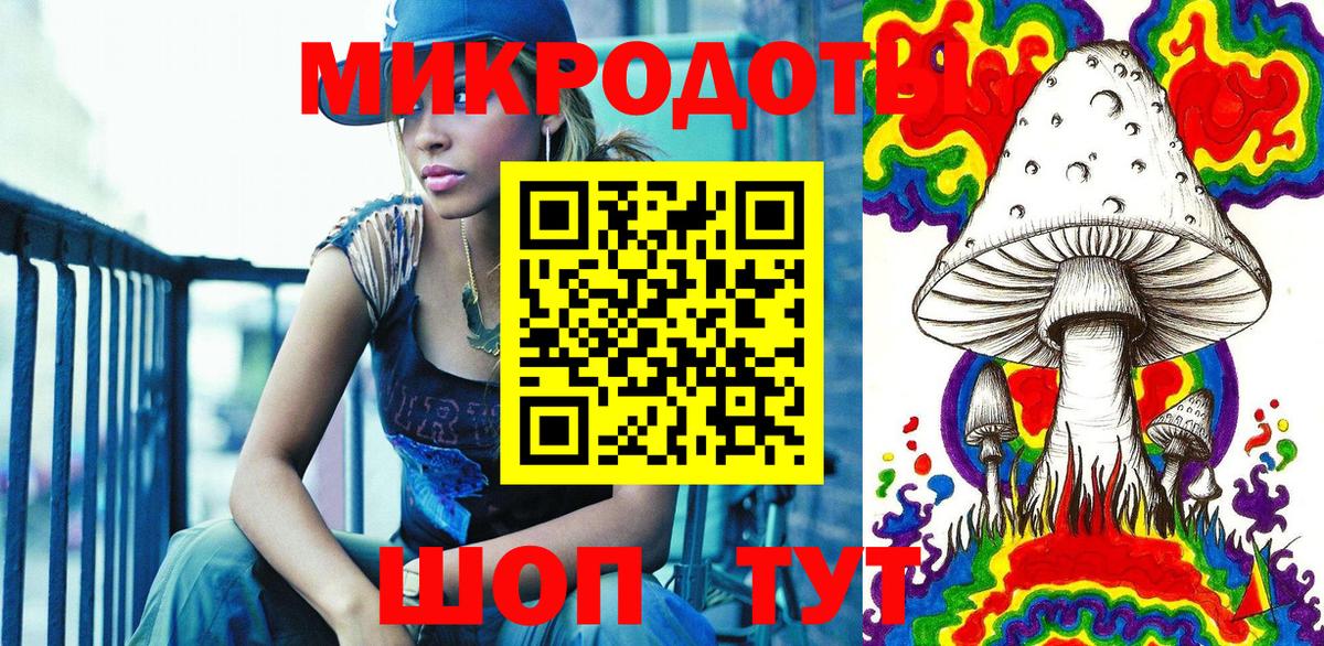 Псилоцибиновые грибы Psilocybine cubensis  Вход с VPN  Курчатов 